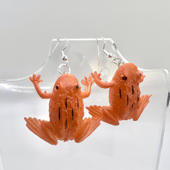 Bull Frog Earrings - Animal Earrings - Zoo Earrings - Teacher Earrings - Farm - Picture 2 of 10
